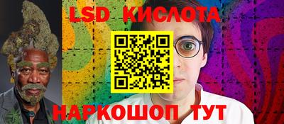 крисы Кунгур