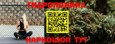 крисы Кунгур