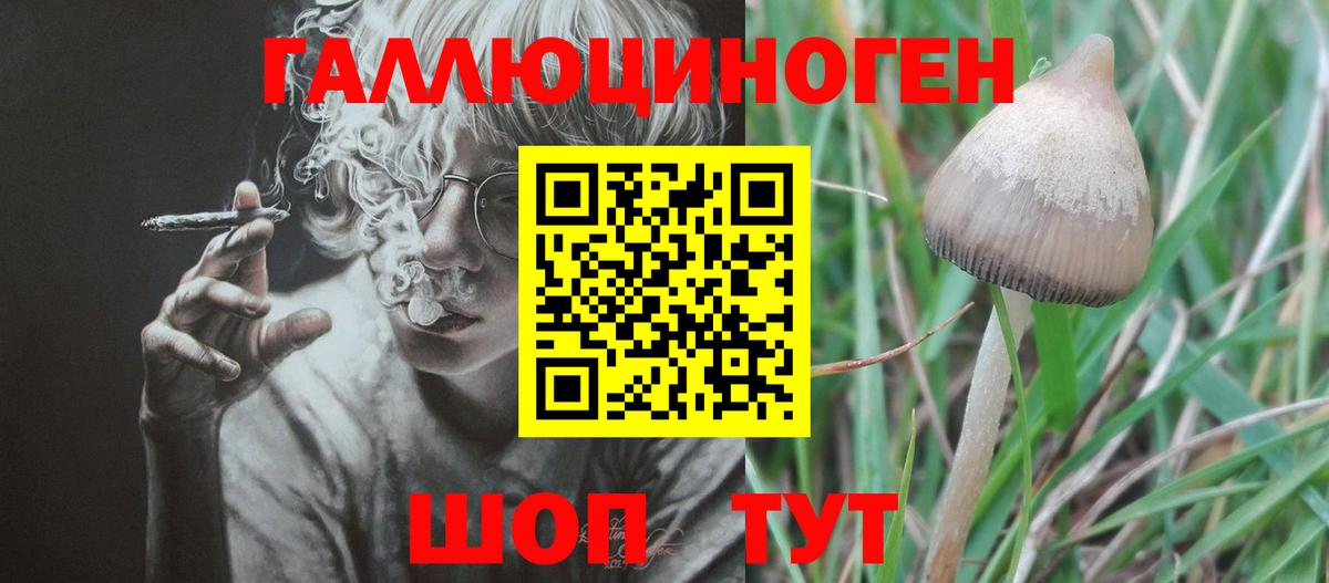 Псилоцибиновые грибы Magic Shrooms  Вход с VPN  Казань 