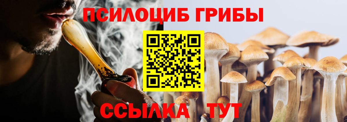 Псилоцибиновые грибы прущие грибы Казань